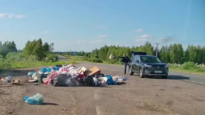 В Подмосковье проводят разъяснительную работу, куда и какой мусор бросать Без рубрики 